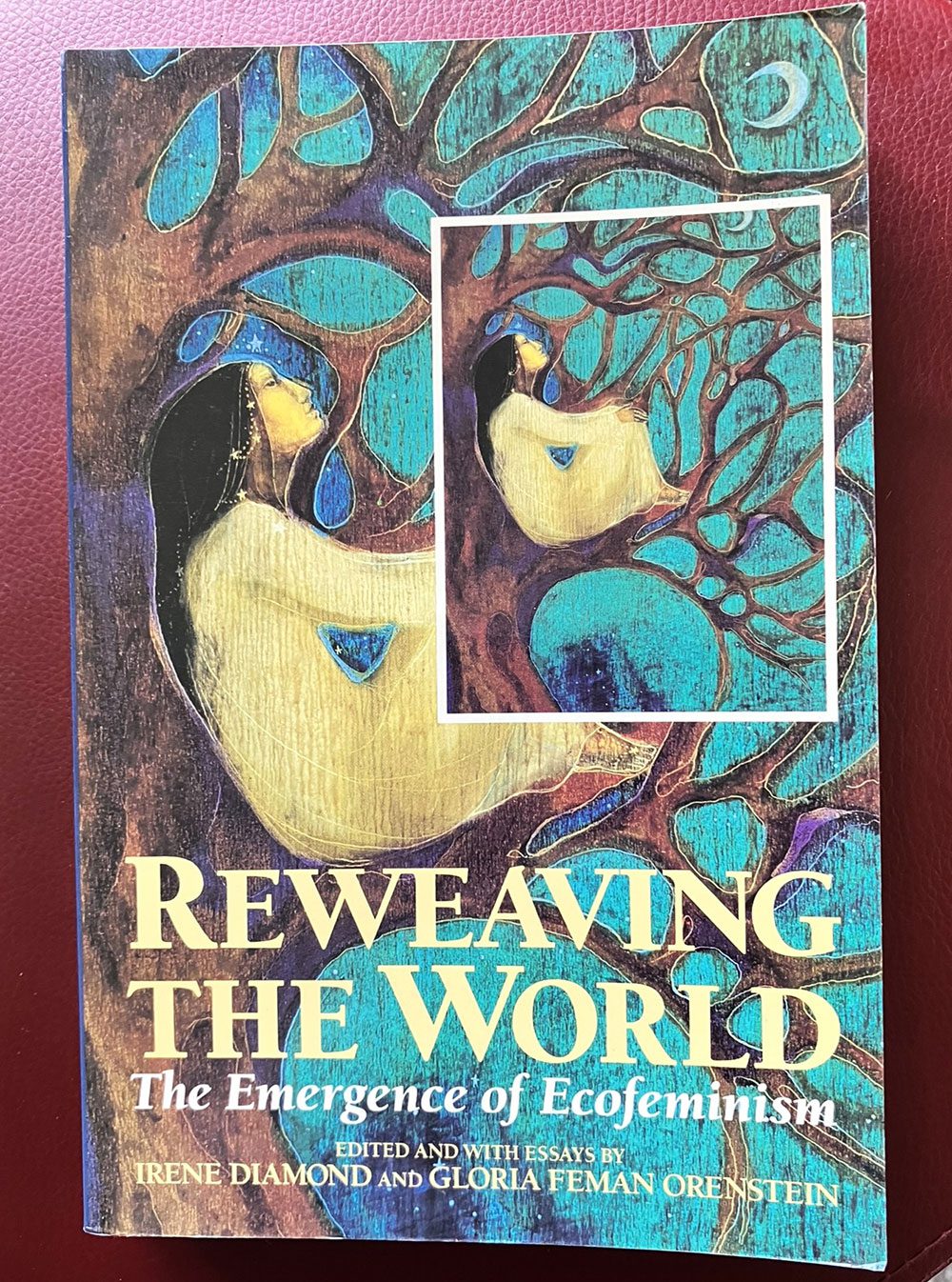 Reweaving the World