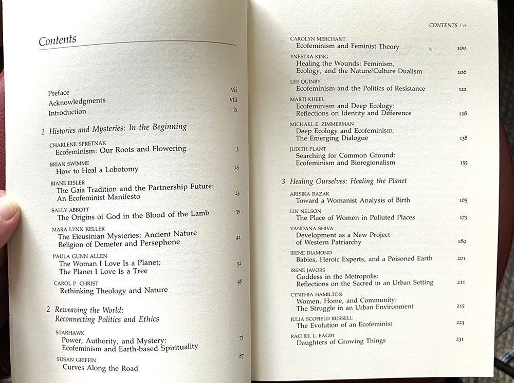 Reweaving the World: The Emergence of Ecofeminism, Irene Diamond, Sierra Club Books,1990 - Image 3